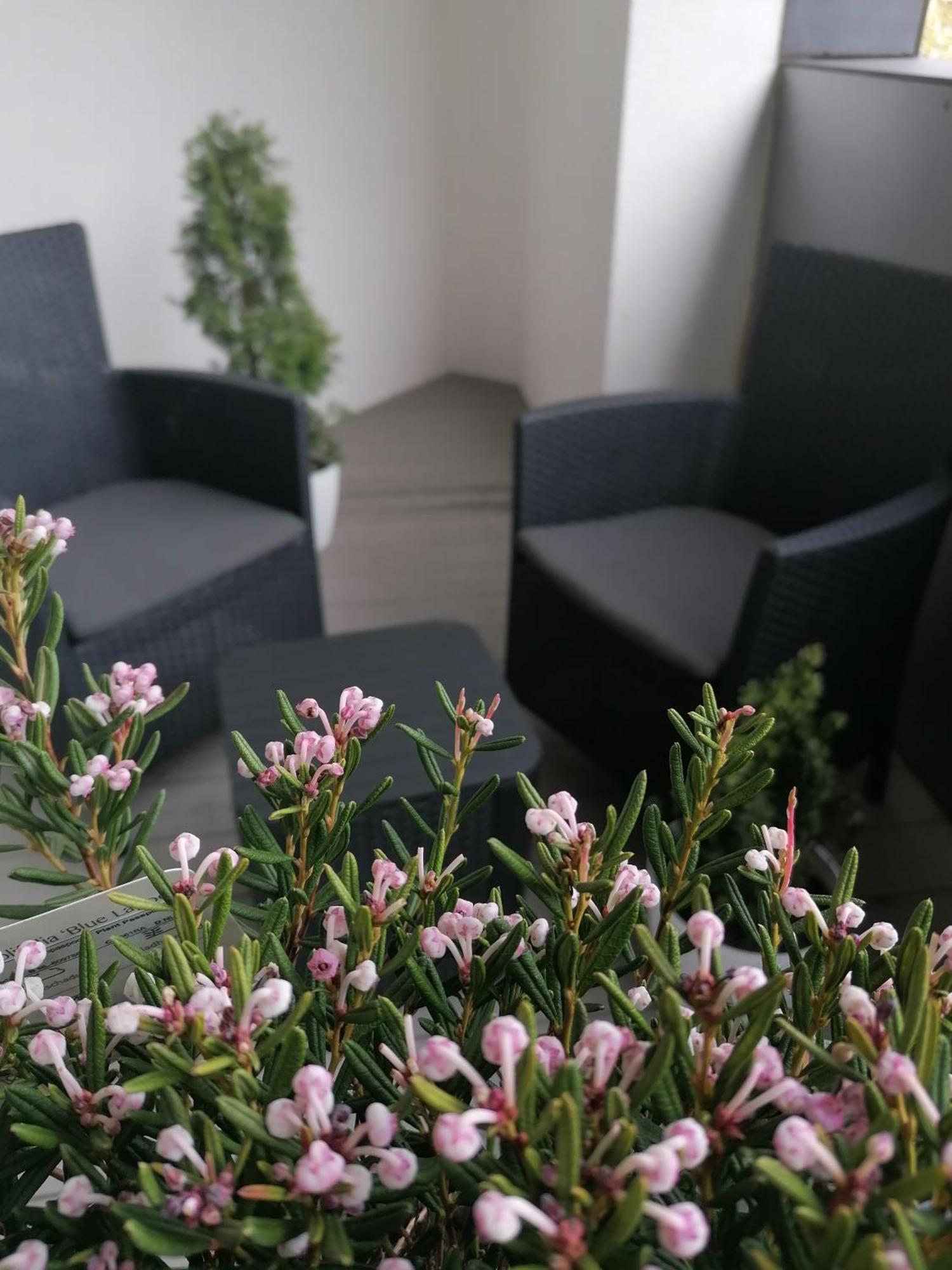 Hanza Tower Apartment-basen Apartment
